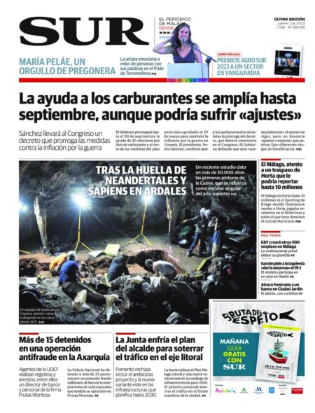 Diario Sur 02.06.2022