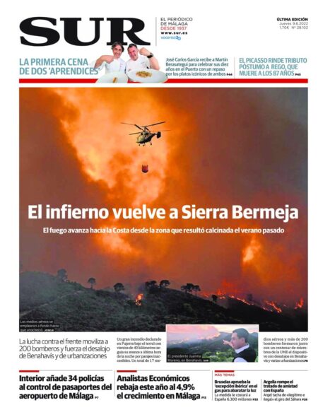 Diario Sur 09.06.2022