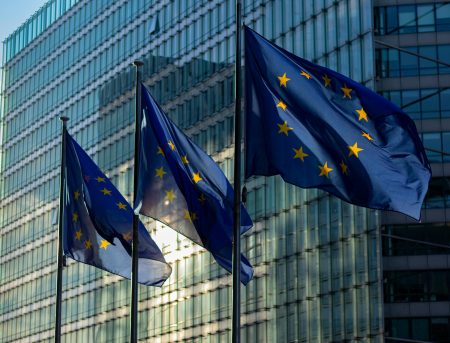 La MFRR valora positivamente el borrador del informe del Parlamento Europeo sobre el Escudo Europeo de la Democracia
